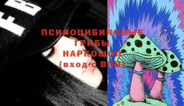 винт Инсар