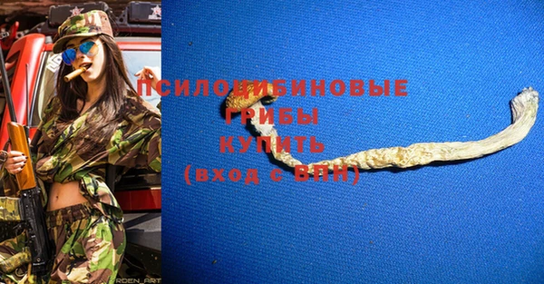 винт Инсар