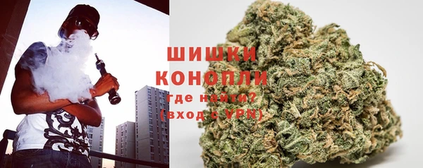 прущая мука Инта