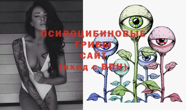 стафф Иннополис