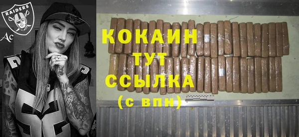 винт Инсар