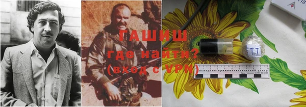 стафф Иннополис