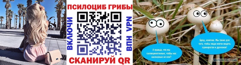 Псилоцибиновые грибы Cubensis  Купить закладки  Георгиевск 