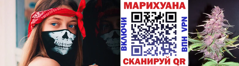 Купить закладки  Георгиевск  Бошки марихуана планчик 